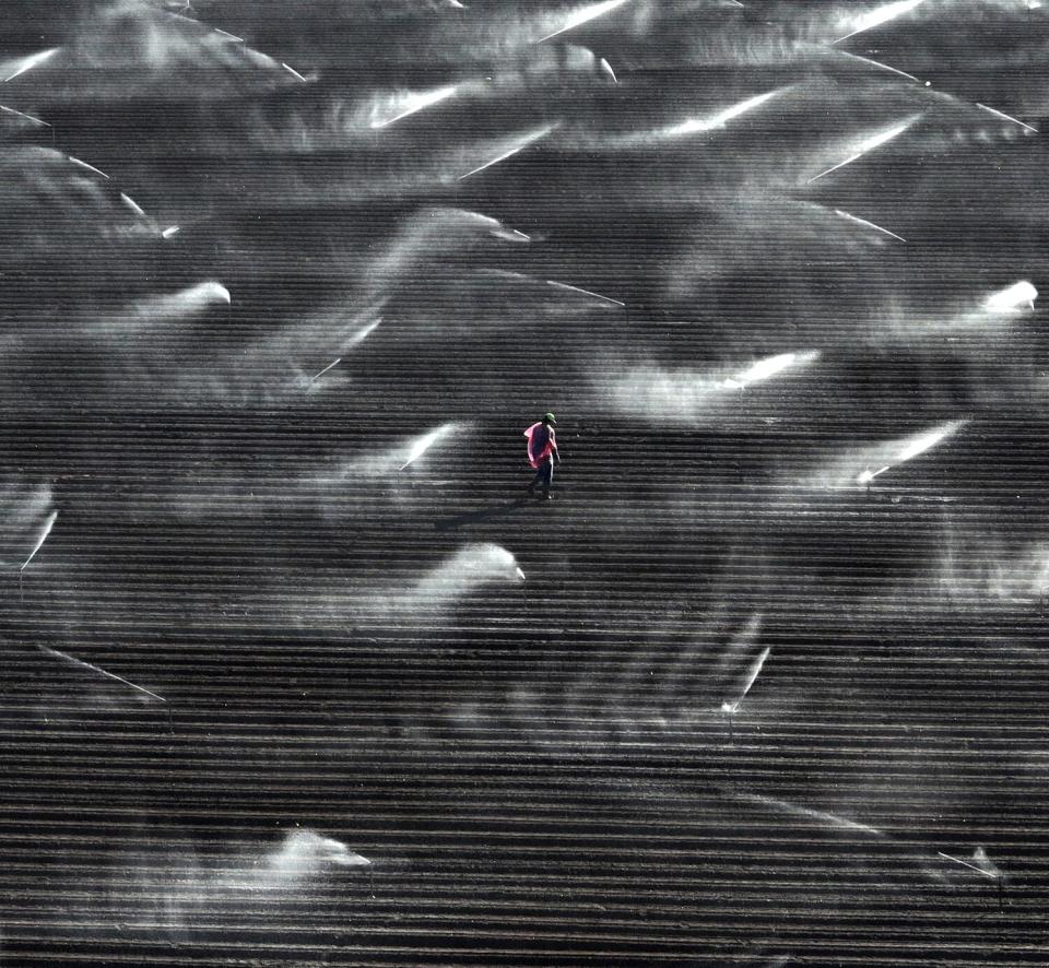 A worker stands amid rows of crops and sprinklers