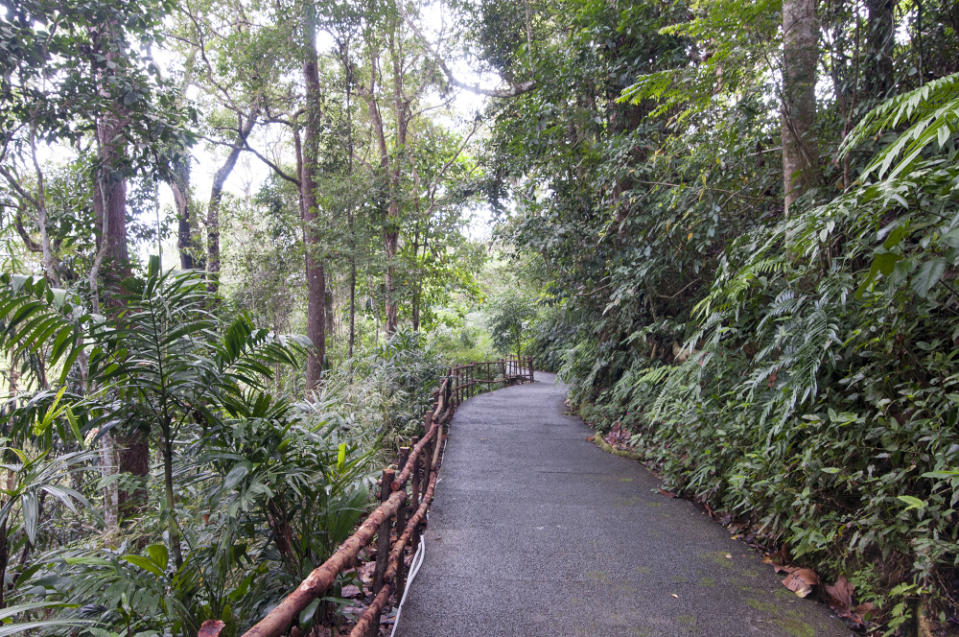 Penang is proposing that outdoor attractions like The Habitat be reopened for a test run. — Picture by Steven Ooi KE