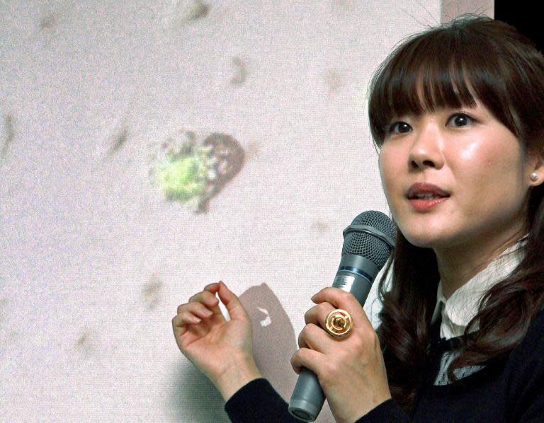 Haruko Obokata, Riken institute's lead researcher, at a press conference at the Riken center in Kobe in Hyogo prefecture on January 28, 2014