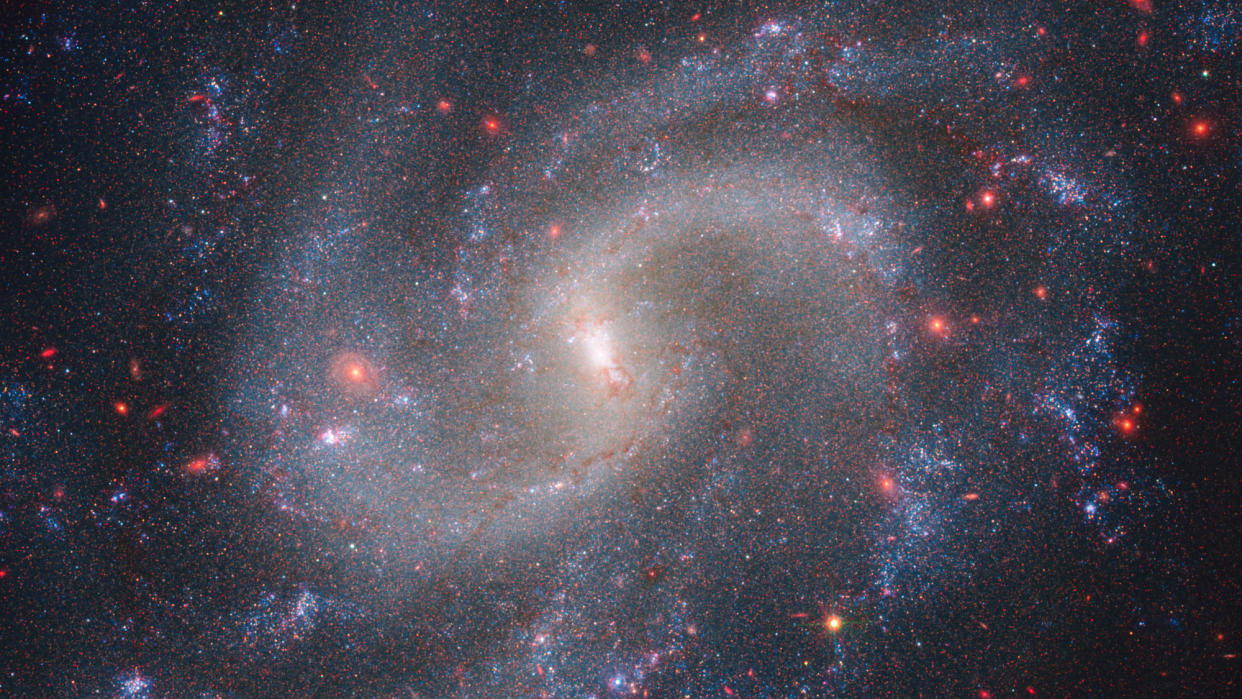  A large galaxy takes up the entirety of the image. The galaxy has a bright white core, and several large spiral arms extending out from that core, rotating clockwise. The arms are light blue with many pink speckles and clumps littering the arms. The background is also filled with a smattering of white and pink dots. 