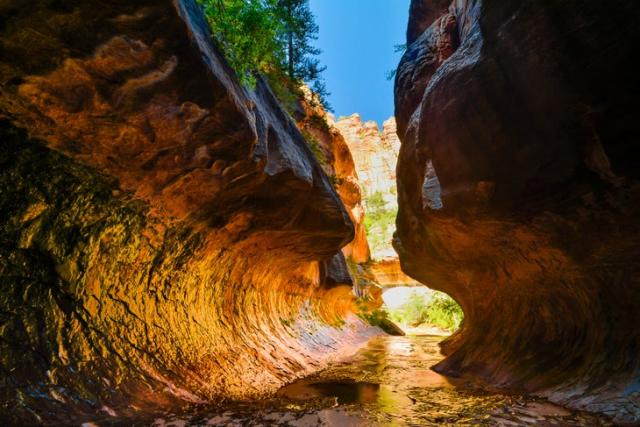 Blaze Canyon to Windy Devil, Idaho : Off-Road Map, Guide, and Tips