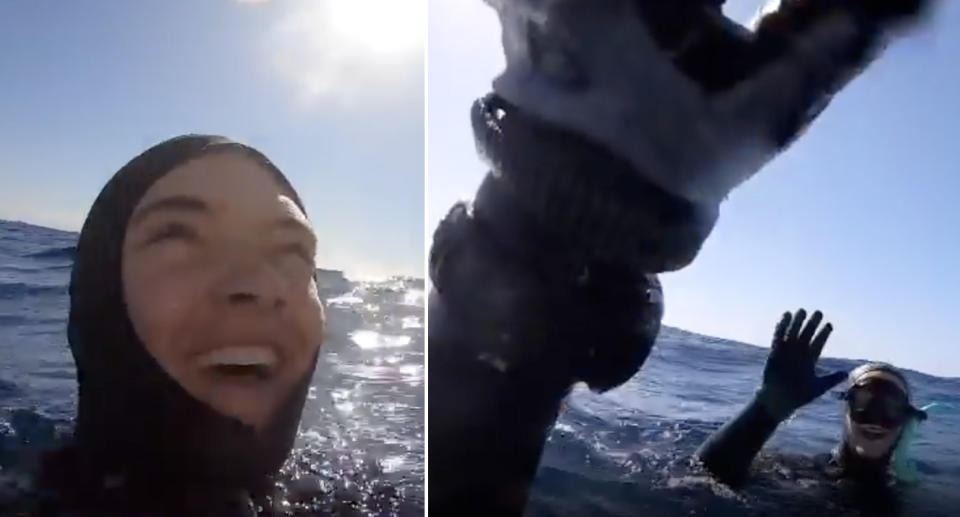 Diver Nick Bailey smiles and high fives a fellow diver after touching a great white shark.