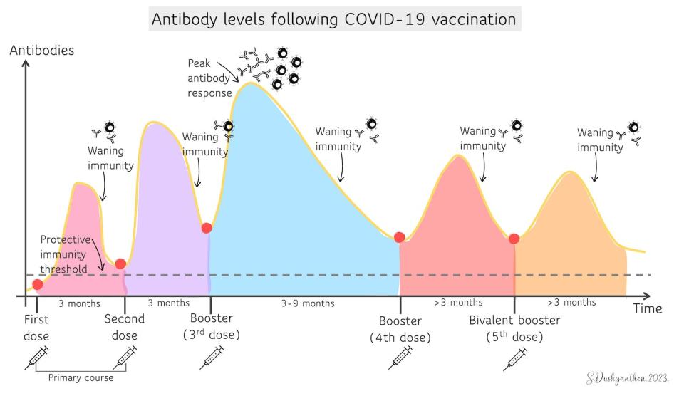 Antibodies after COVID-19 vaccination. S.Dushyanthen, 2023