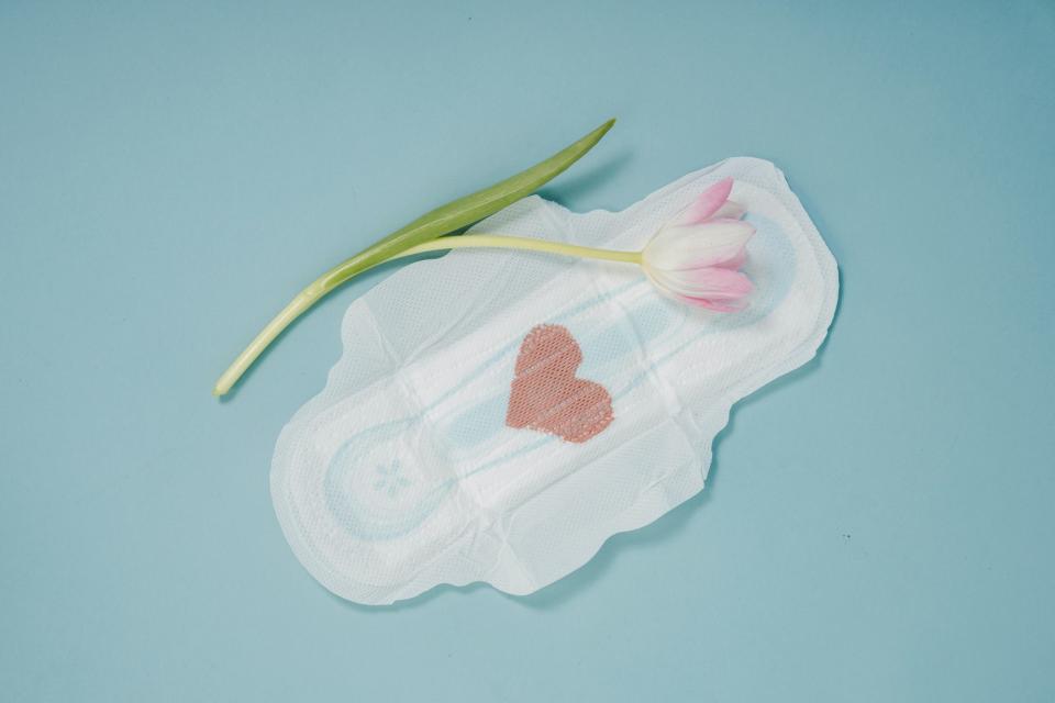 A menstrual pad and pink tulip placed on blue background