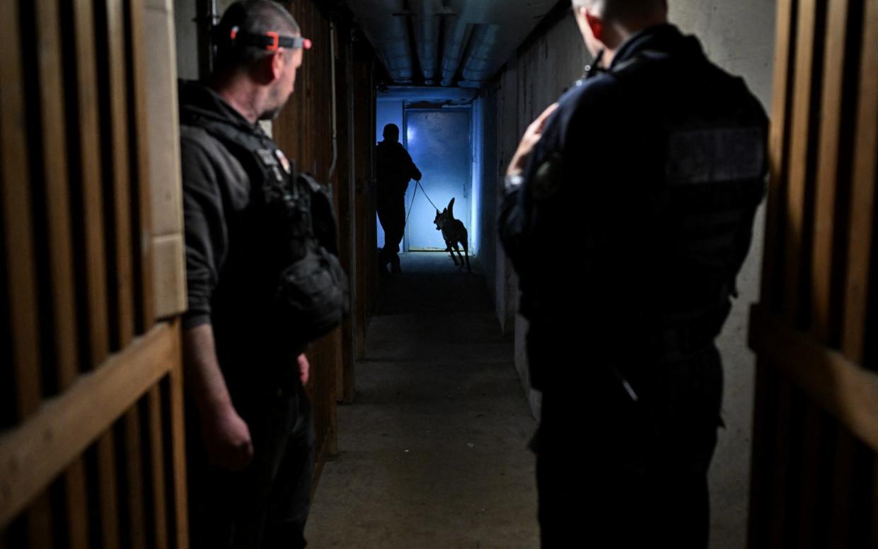 Police officers from the dog squad check the basement of a building in a drug raid
