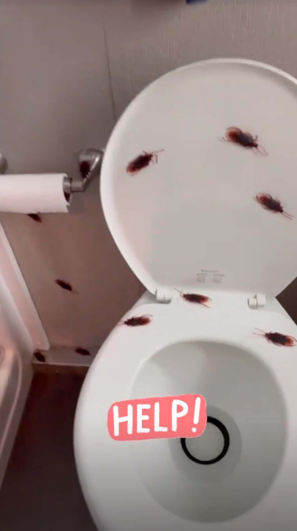 Kaley Cuoco screamed when she first saw her bathroom covered in the toy insects (Instagram)