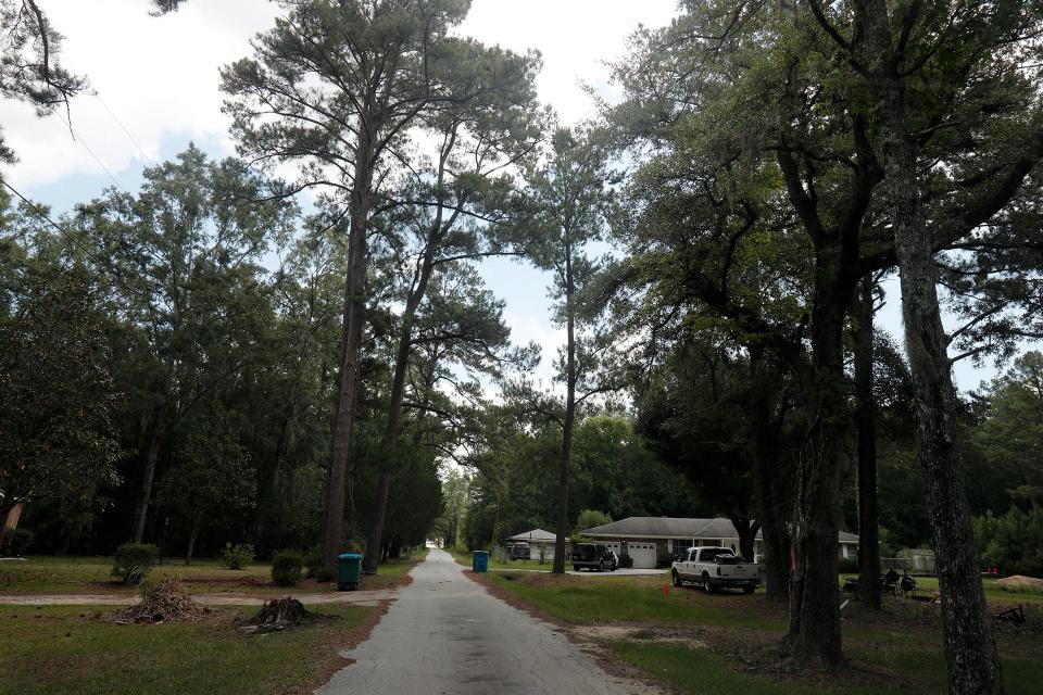 A sparse number of homes line the single lane Berrien Road in Port Wentworth. 