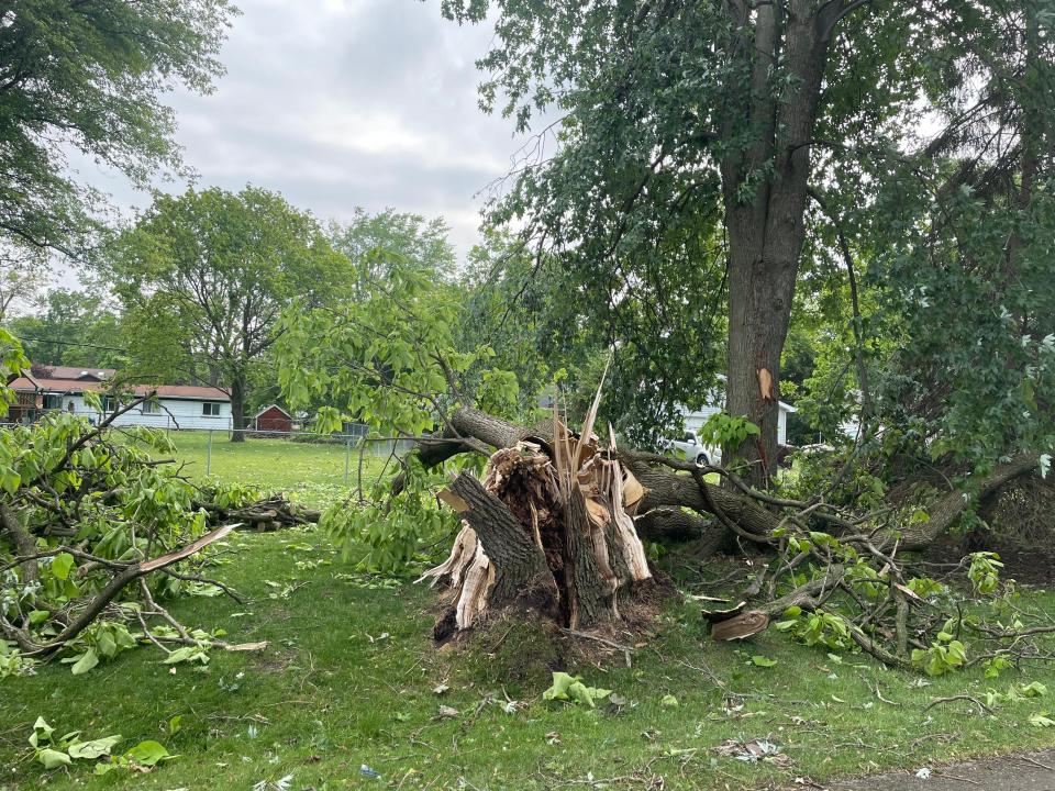 Damaged trees are shown in Grand Beach.