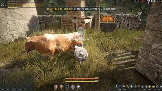 Black Desert - Can your MMO do this?