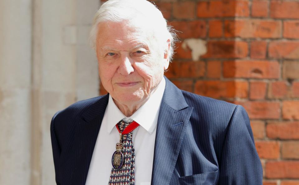 Sir David Attenborough is a celebrated member of the Companions of Honour