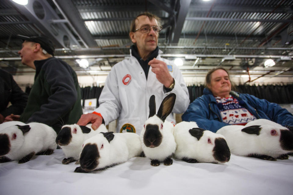 Thousands of people flocked to the UK’s longest-running small animal show this weekend