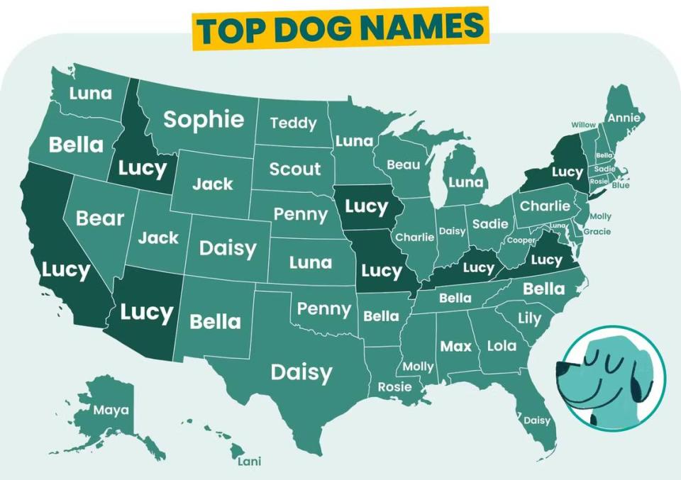 Idahoans went along with the national trend for their favorite dog name, with most pups in the state called “Lucy.”