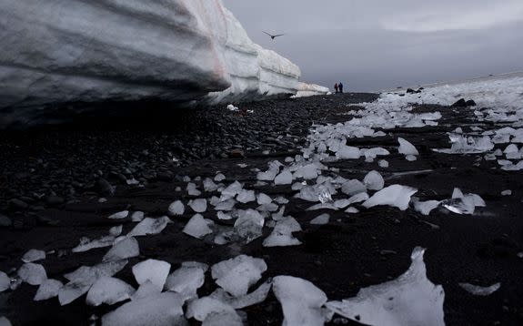 In this Jan. 26, 2015 photo, pieces of thawing ice are scattered along the beachshore at Punta Hanna, Livingston Island, South Shetland Island archipelago, Antarctica.