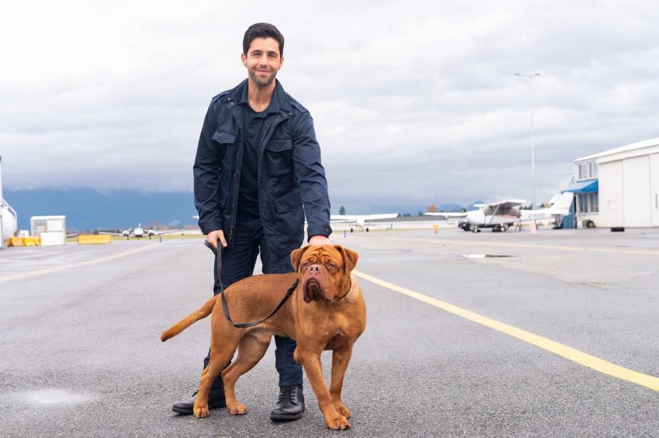 Inzwischen hat Huutsch ein neues Herrchen: Josh Peck (Bild) spielt im Serie-Remake den Sohn von Detective Scott Turner, der ihm nach seinem Tod einen Hund zukommen lässt - eine männliche Bordeaux-Dogge, die den verstorbenen Cop so sehr an seine frühere Hündin erinnerte, dass er sie adoptierte und kurzerhand auf denselben Namen taufte. (Bild: Disney)