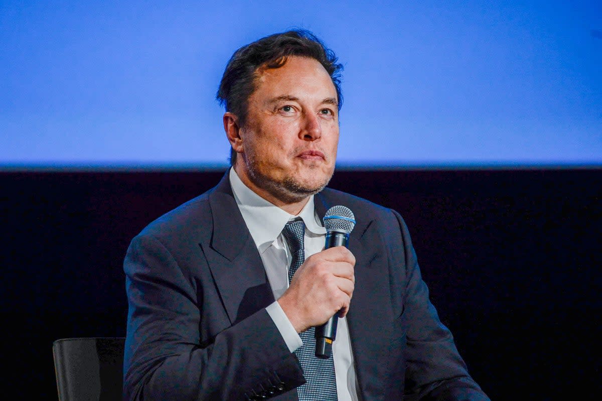 Tesla boss Elon Musk  (NTB/AFP/Getty)