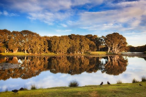 Centennial Park - Credit: getty