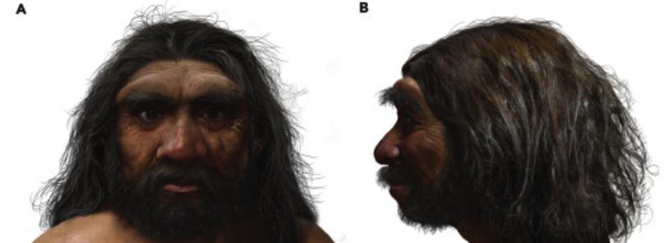 Reconstruction of the Homo longi skull: Anterior view (A) and lateral view, left side (B). - Credit: Stringer et. all