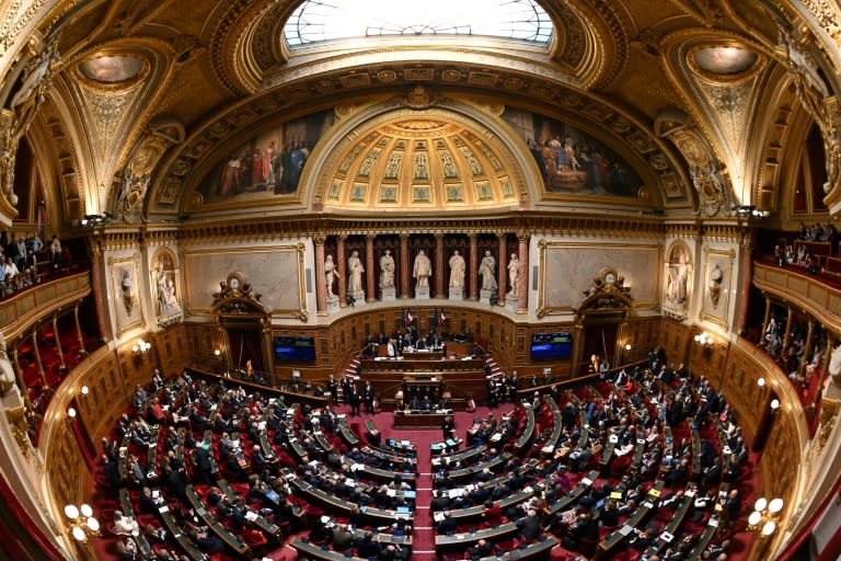 Le Sénat, le 2 avril 2024 à Paris (Bertrand GUAY)