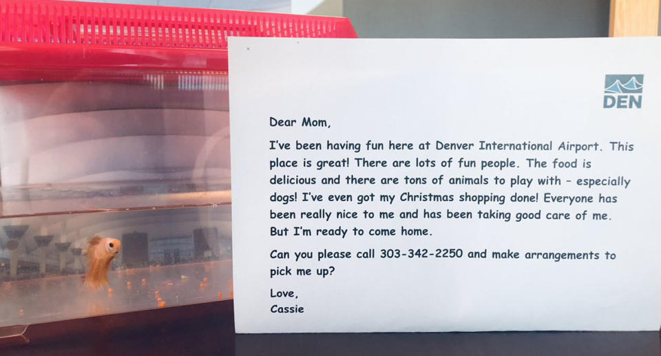 Airport staff took care of the fish and wrote a letter hoping to reach Ms Powless. Source: @DENAirport /Twitter