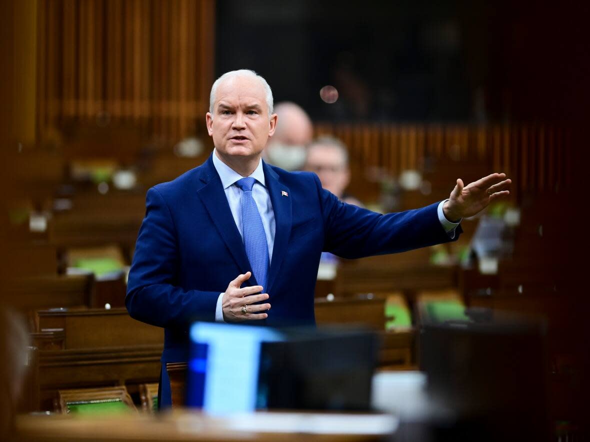 Former Conservative leader Erin O'Toole told the House of Commons Tuesday that he has been targeted by China.  (Sean Kilpatrick / Canadian Press - image credit)