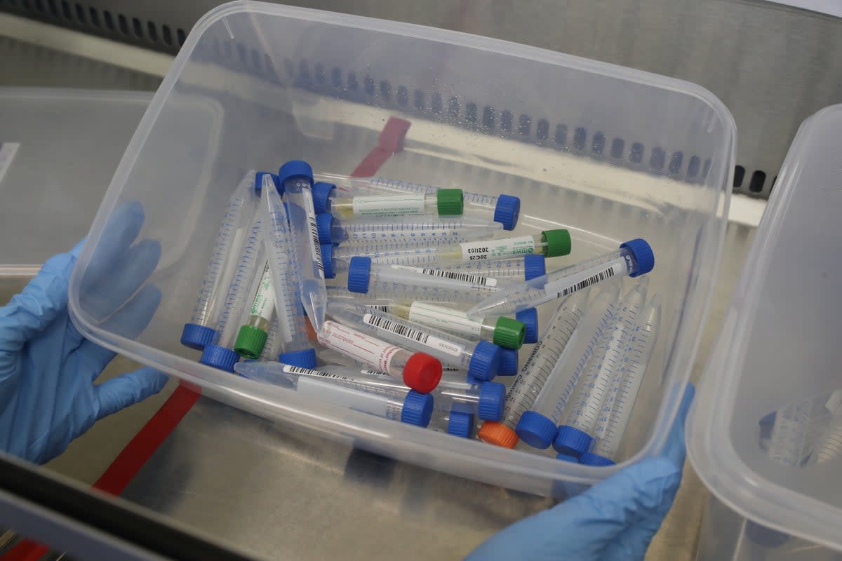 Samples of Covid-19 in test tubes at the Queen Elizabeth University Hospital, Glasgow (Andrew Milligan/PA) (PA Archive)