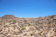 <p>Our last property this week is this adobe-style home that’s hidden in a sea of boulders. It’s in Yucca Valley, California and goes for $895 a night. This kind of isolation doesn’t come cheap.<br>(Airbnb) </p>