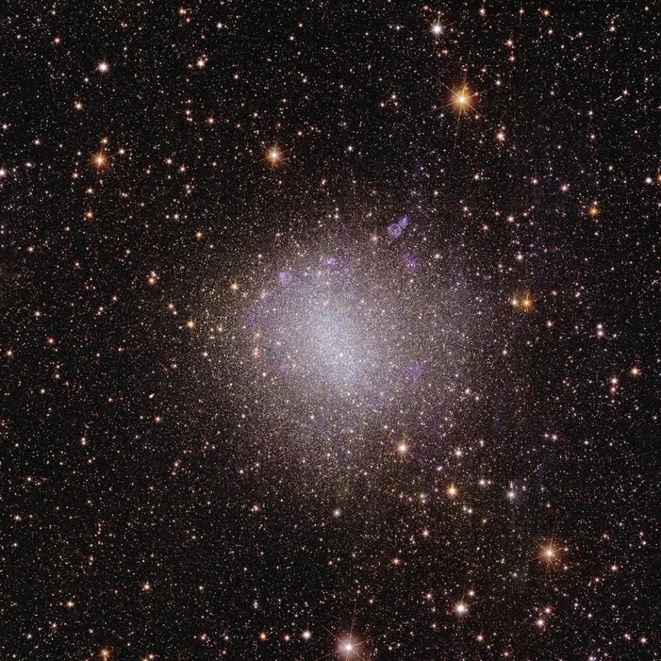 <em>This first irregular dwarf galaxy is relatively close to use in space terms. It is only 1.6 million light-years from Earth and is a member of the same galaxy cluster as the Milky Way. In 1925, <u>Edwin Hubble</u> was the first to identify NGC 6822 as a ‘remote stellar system’ well beyond the Milky Way. While it has been observed many times with other telescopes, Euclid is the first to capture all of NGC 6822 and surroundings in high resolution in about one hour. CREDIT: ESA/Euclid/Euclid Consortium/NASA, image processing by J.-C. Cuillandre (CEA Paris-Saclay), G. Anselmi</em>
