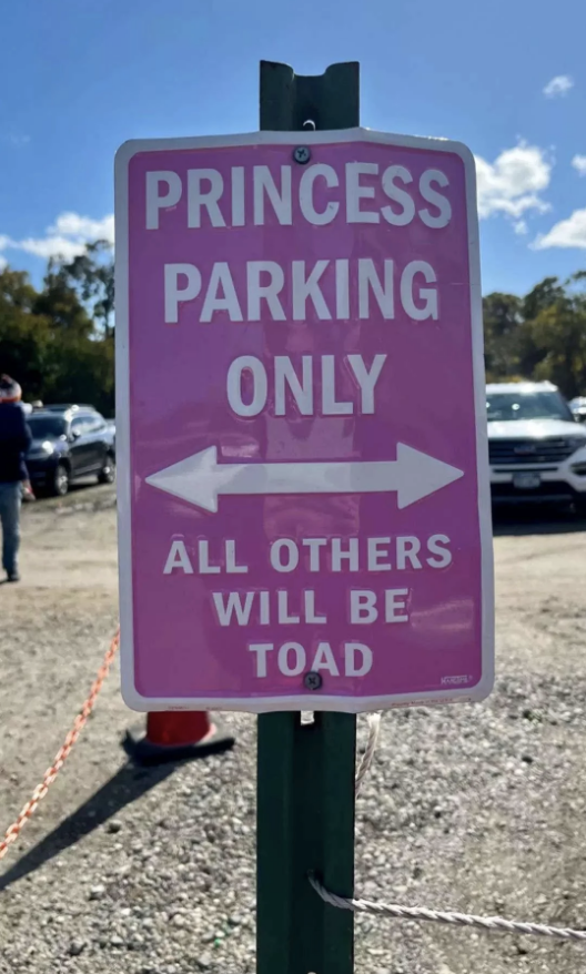 Sign reads "PRINCESS PARKING ONLY, ALL OTHERS WILL BE TOAD," with arrows pointing left and right, in a parking lot