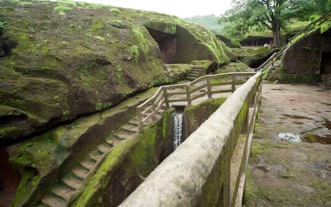 Sanjay Gandhi National Park - Credit: HIRA PUNJABI/Hira Punjabi