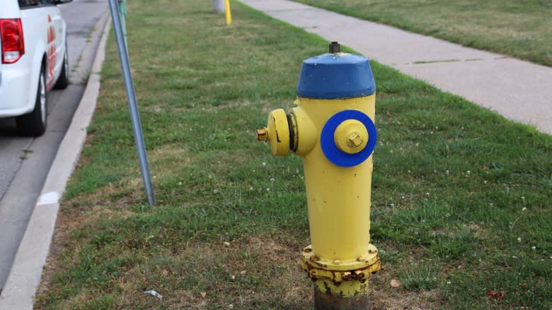 Life made easier for fire crews with updated Windsor fire hydrants