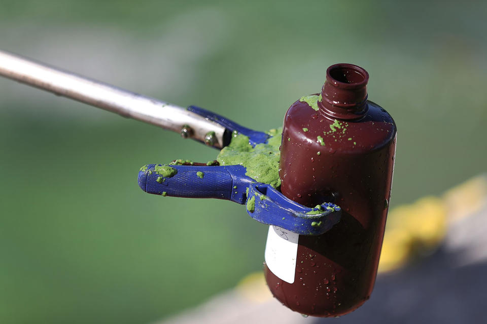 <p>Tom Wippick, from the Florida Department of Environmental Protection, uses a bottle to collect a sample for testing near the Central Marine boat dock along the St. Lucie River in Stuart, Fla., July 11, 2016. (Photo: Joe Raedle/Getty Images) </p>