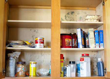 A moldy cupboard is shown in the house of a Marine and his family whose home suffered severe damage post-Hurricane Florence at Marine Corps Base Camp Lejeune, North Carolina, U.S., September 27, 2018. REUTERS/Andrea Januta