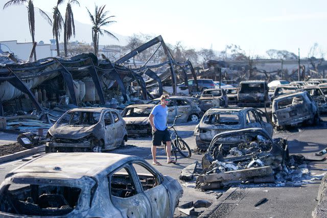 <p>AP Photo/Rick Bowmer</p> A man walks through the wildfire wreckage in Lahaina, Hawaii on August 11.