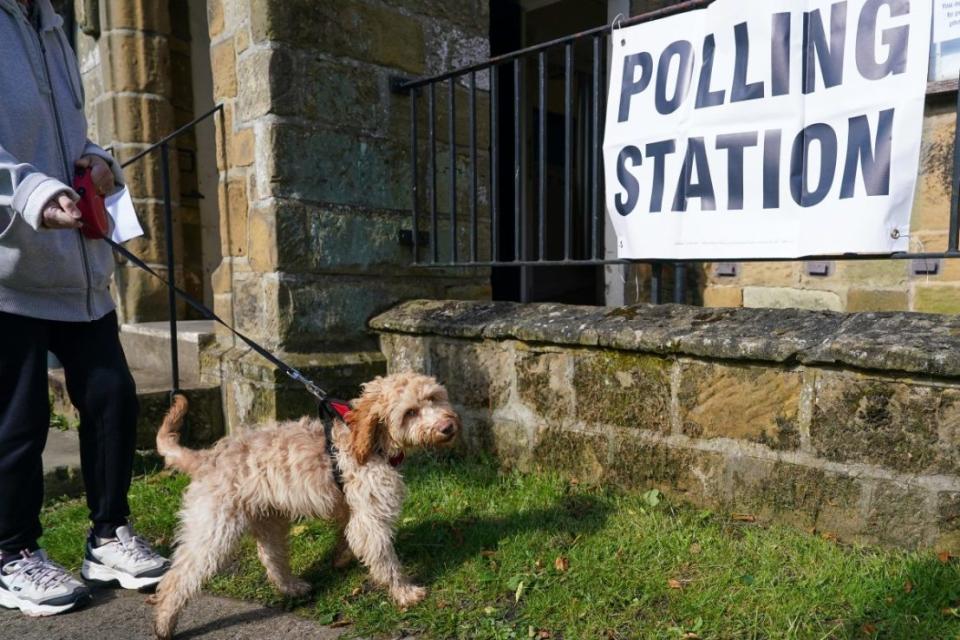 Dogs at polling stations are a feature of UK elections