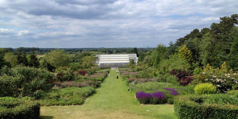 the royal horticultural society's wisley garden park with greenhouses, lakes and various garden designs shot with an iphone