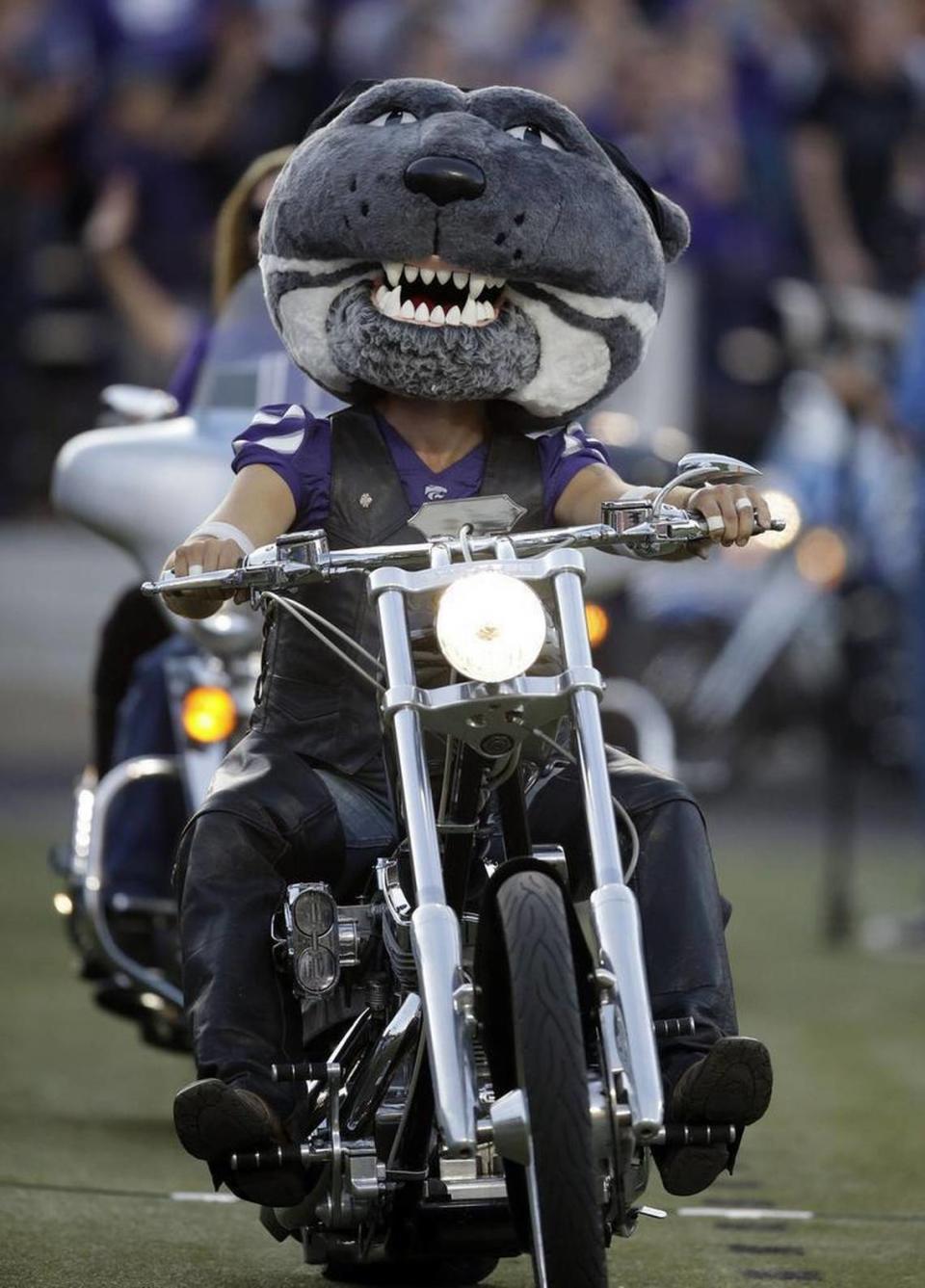 Kansas State mascot Willie the Wildcat rides a motorcycle around Wagner Field before an NCAA college football game against TCU in Manhattan, Kan., Saturday, Oct. 10, 2015.