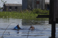 Francisco Fabiano Rodrigues takes a bag with fish to his home keeping his head bearly above water on a street flooded by the rise of the Negro river in Iranduba, Amazonas state, Brazil, Monday, May 23, 2022. The Amazon region is being hit hard by flooding with 35 municipalities that are facing one of their worst floods in years and the water level is expected to rise over the coming months. (AP Photo/Edmar Barros)