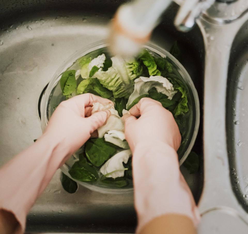 Running lettuce under cold water.