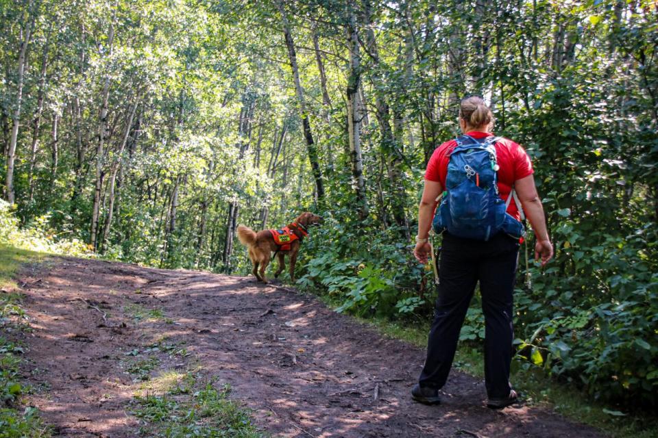 Jenga, a search and rescue dog, with her handler, Kate Dean.