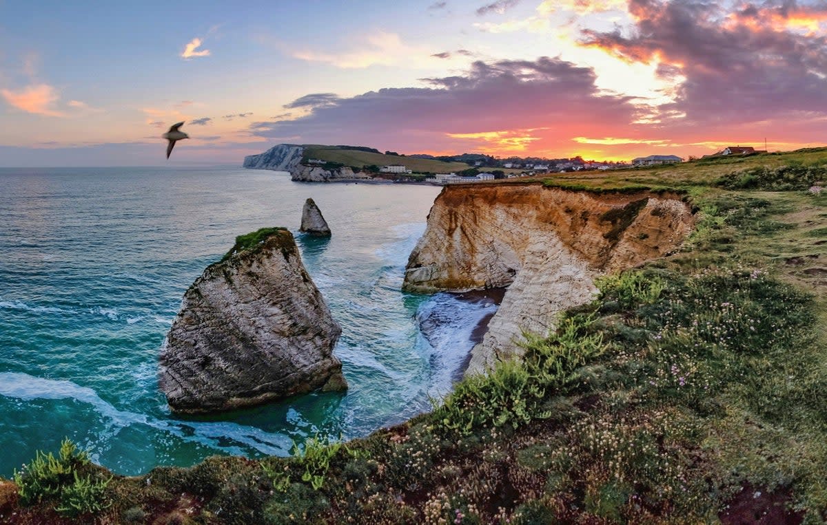 A visit to Freshwater Bay makes for a spectacular sunset (Getty Images/iStockphoto)