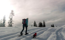 <p>While Bolt and Keel wear extra small dog harnesses, it's important to make sure you find the perfect one so your cat is comfortable doing anything...like skiing.</p>