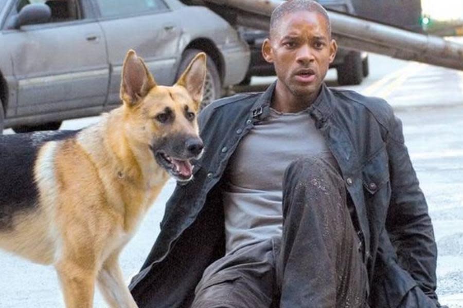 Soy Leyenda: Will Smith confiesa que quiso adoptar a su co-protagonista perruna