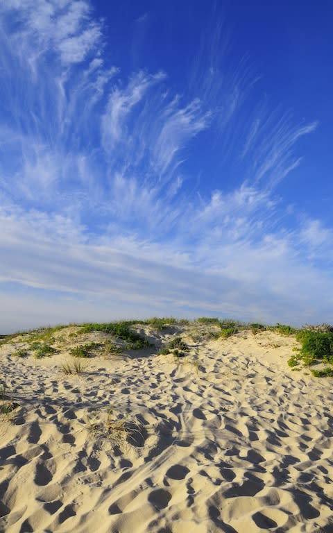 Towards the dunes of Comporta - Credit: Rui Rebelo