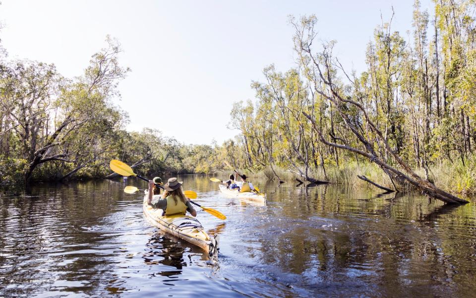Kayaking is one of the most popular activities in the Noosa Everglades