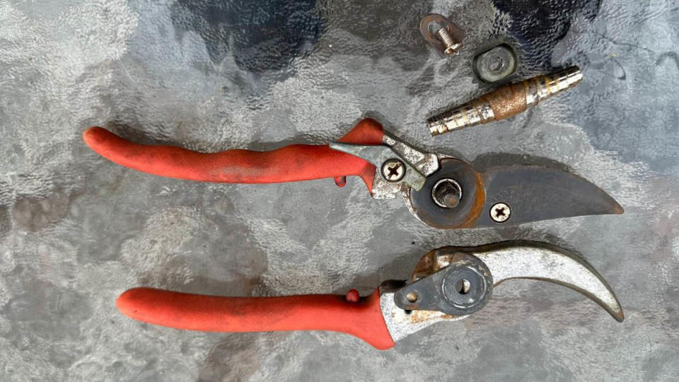 A pair of pruning shears dismantled