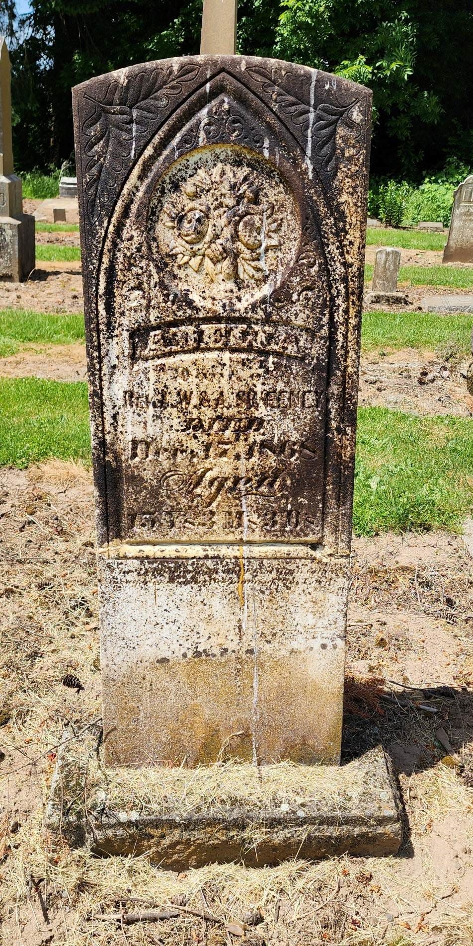 The headstone for Adelia Sweeney, who was 15 when she died in 1868, was one of the most difficult for Heather Lagaso to clean at Belle Passi Cemetery between Gervais and Woodburn.