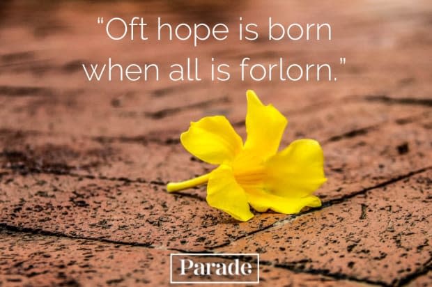 "Lord of the Rings" quote about hope<p>UnSplash</p>