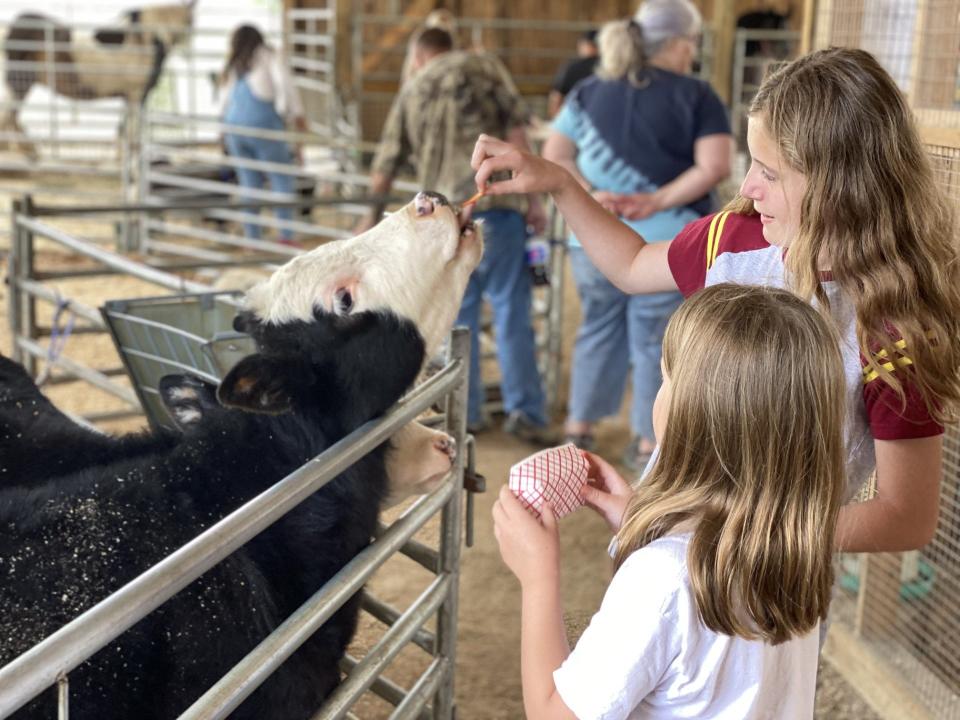 Feeding the calves at the Hershberger's Farm and Bakery petting zoo was fun for Lucy and Zoe Sevigny.