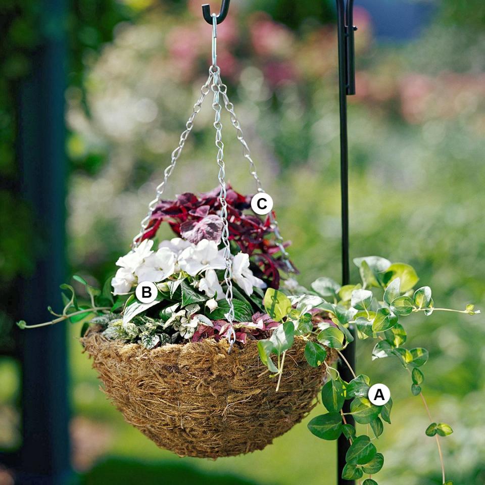 Use these easy plant-by-numbers recipes to put together the most beautiful hanging baskets in your neighborhood.