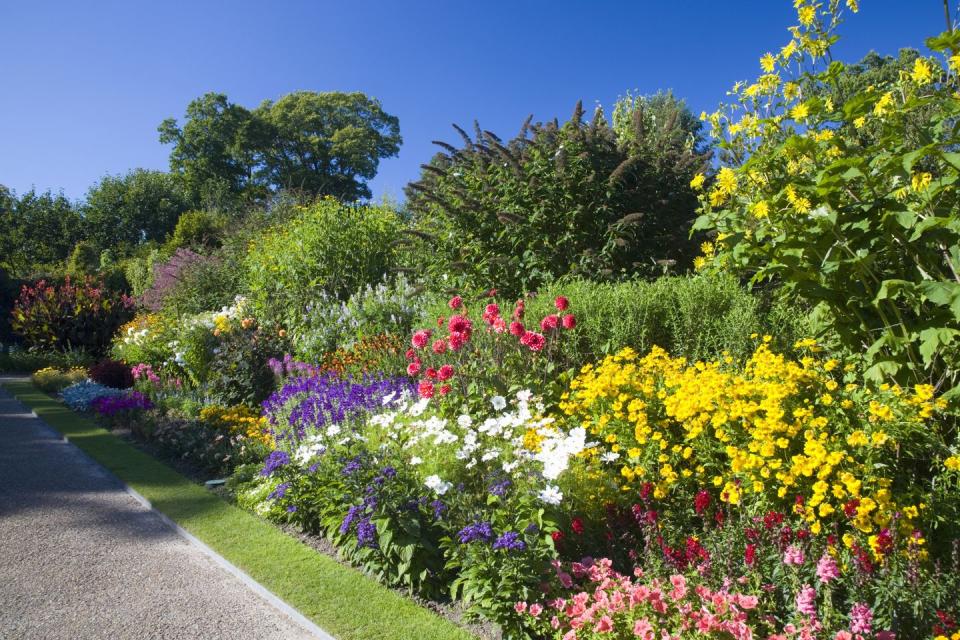 nymans garden